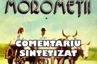 Morometii - Comentariu Sintetizar