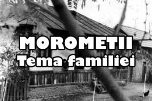 Morometii - Tema familiei