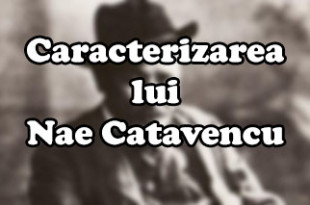 Caracterizarea lui Nae Catavencu