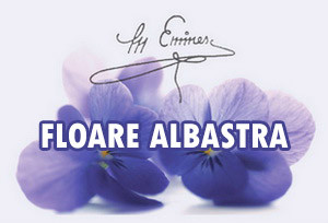 mihai-eminescu-floare-albastra-comentariu-rezumat-sintetizat